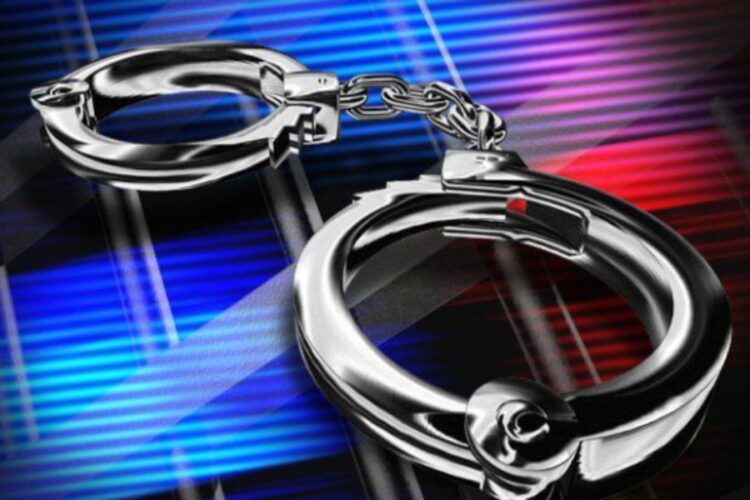 Rachakonda Police arrested chain snatchers and made recovery