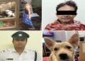 Kolkata Police arrested a man for cruelty