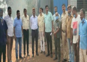 Destruction of illicit cannabis by Bidar Police
