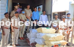 Ganja seized in various cases in Bidar district, destroyed