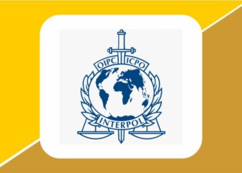 Cross Borders Cybercrimes