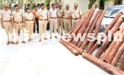 Red Sanders smuggling gang nabbed