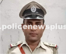 Investigation leads to imprisonment