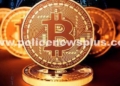 Bitcoin Scam Revival: State Govt Orders SIT Probe