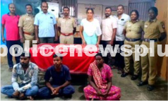 Jewelry Theft Arrests