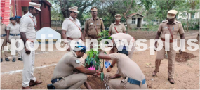 Tree Planting Initiative