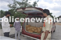 Drug Peddling Racket Busted
