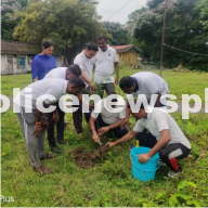 Tree Planting Tribute Initiative