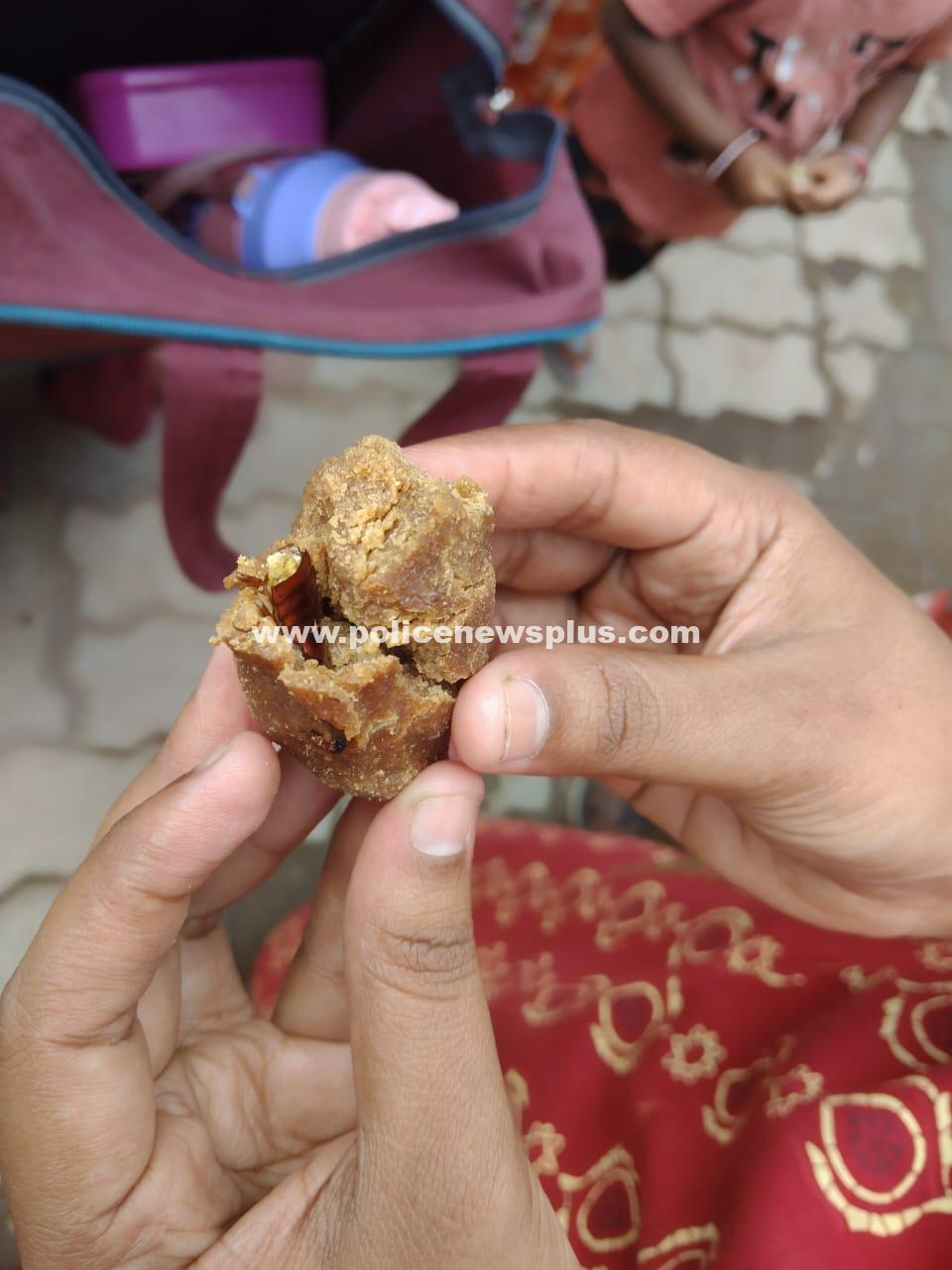 Cockroach in Supplement Alarms Madurai Residents