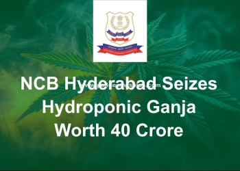 NCB Hyderabad Seizes Hydroponic Ganja Worth ₹40 Crore