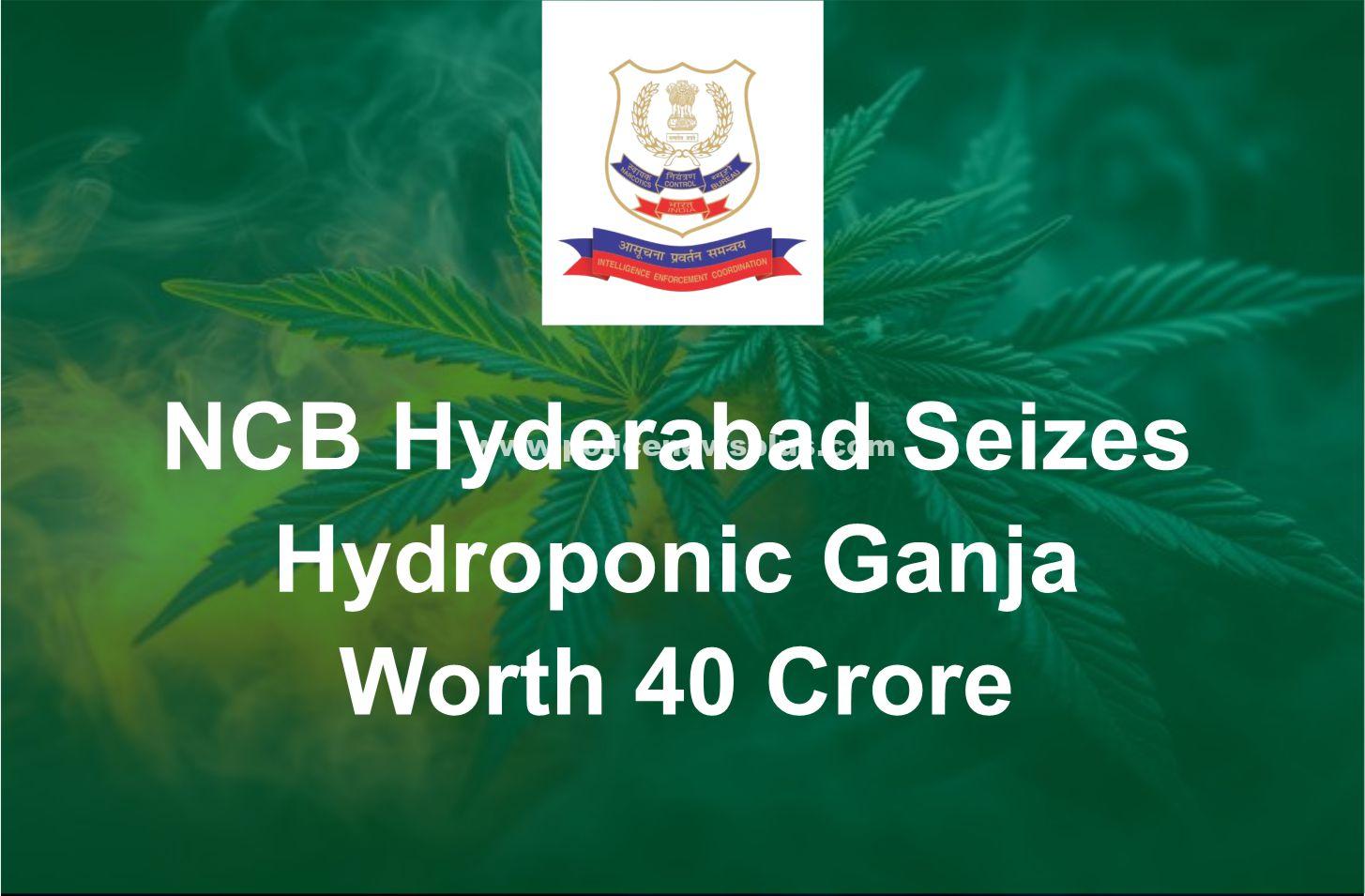 NCB Hyderabad Seizes Hydroponic Ganja Worth ₹40 Crore