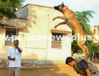 Rajasthan Police Dog Squad Honored