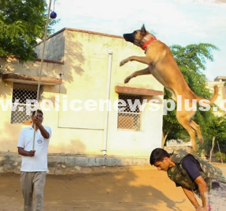 Rajasthan Police Dog Squad Honored