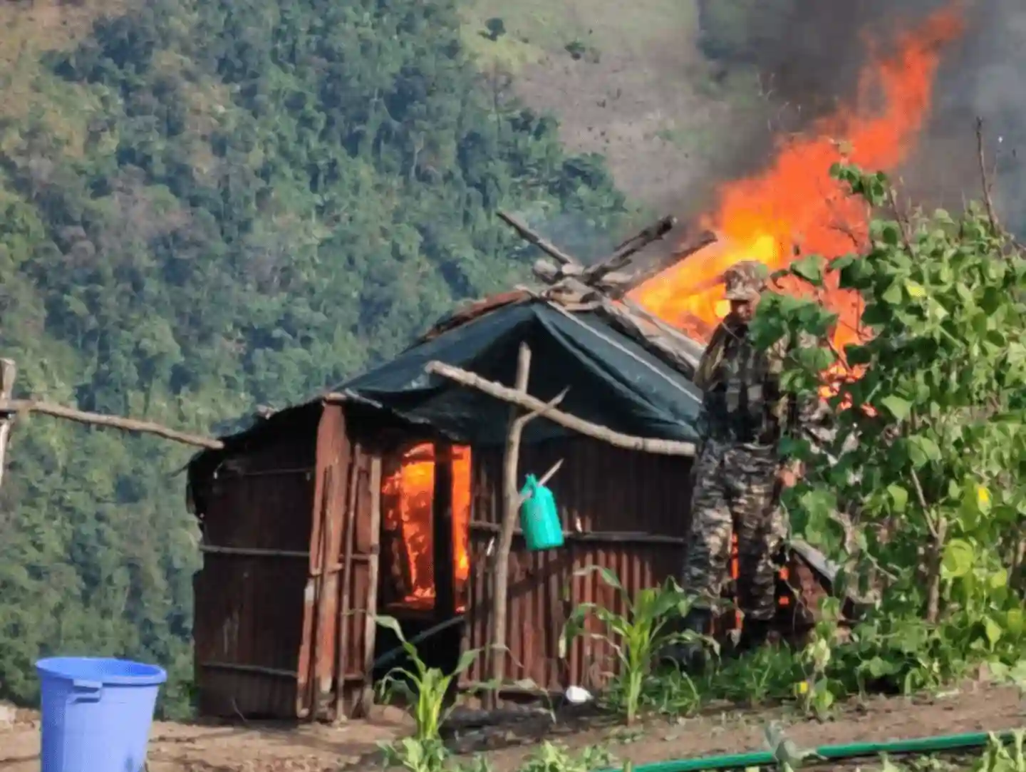 Security Forces Destroy Illegal Poppy